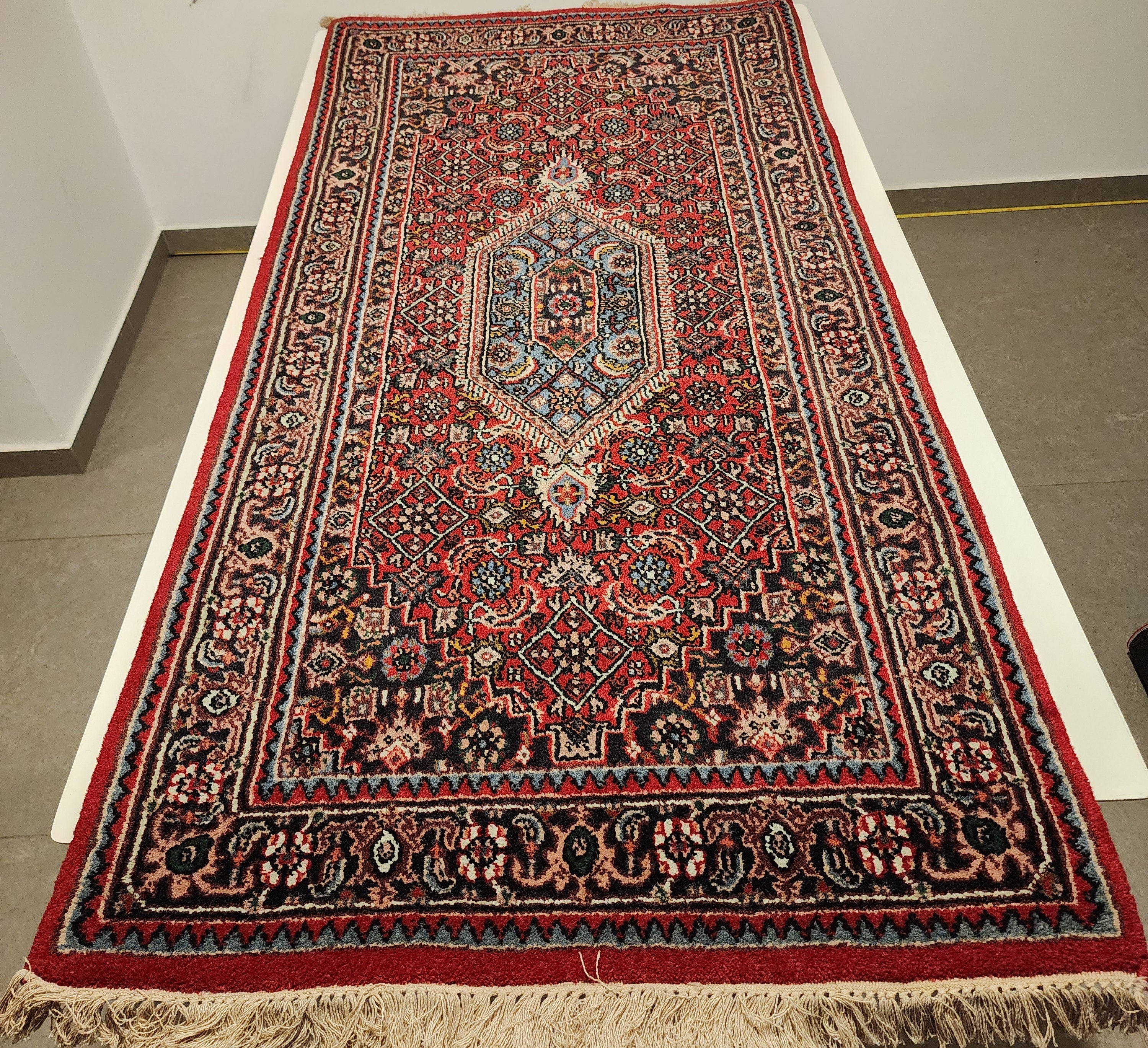 WB172 BIDJAR Red | שטיח צמר עבודת יד בסגנון בידג'אר פרסי  73x150 ס"מ
