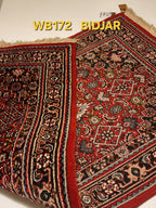 WB172 BIDJAR Red | שטיח צמר עבודת יד בסגנון בידג'אר פרסי  73x150 ס"מ